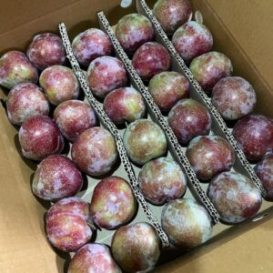 Mariposa plums