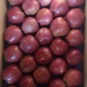 Royal Delicious Apple